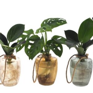 LOFE | Intenz Mix in Waltz Glas - 3 stuks - Ø7cm - ↕25cm
