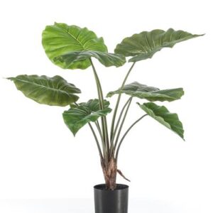 Kunstplant - Alocasia - Olifantsoor - 70 cm