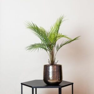 Kunstplant - Chamaedorea - Bergpalm - 50 cm