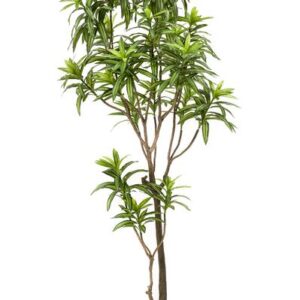 Kunstplant - Dracaena - Drakenboom - 190 cm