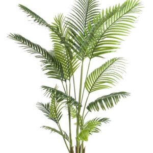Kunstplant - Howea Forsteriana - 160 cm