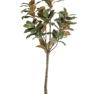 Kunstplant - Magnolia Grandiflora - 150 cm