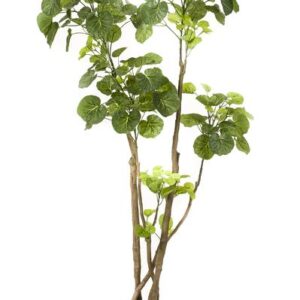 Kunstplant - Polyscias - Aralia - 135 cm