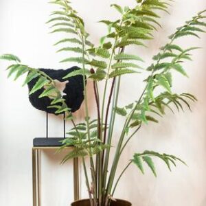Kunstplant - Rumohra Adiantiformis - Ledervaren - 180 cm