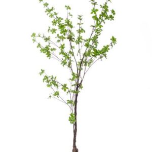 Kunstplant - Tropaeolum Speciosum - Oost Indische Kers - 150 cm