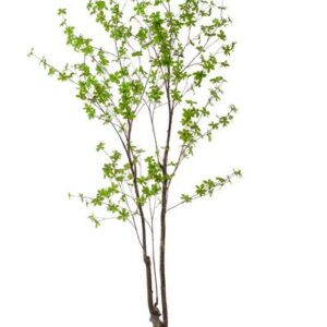 Kunstplant - Tropaeolum Speciosum - Oost Indische Kers - 210 cm