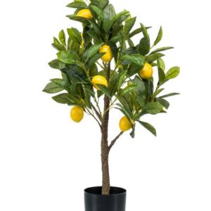 Kunstplant - Citrus Limonia - Citroenboom - 75 cm
