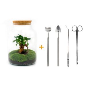 DIY terrarium - Milky met bonsai - ↕ 30 cm - Rake + Shovel + Tweezer + Scissors