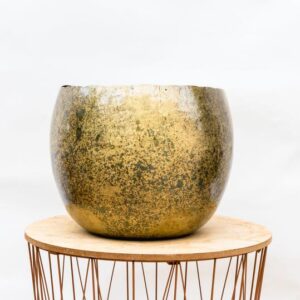 Ellen Brass - 30x25